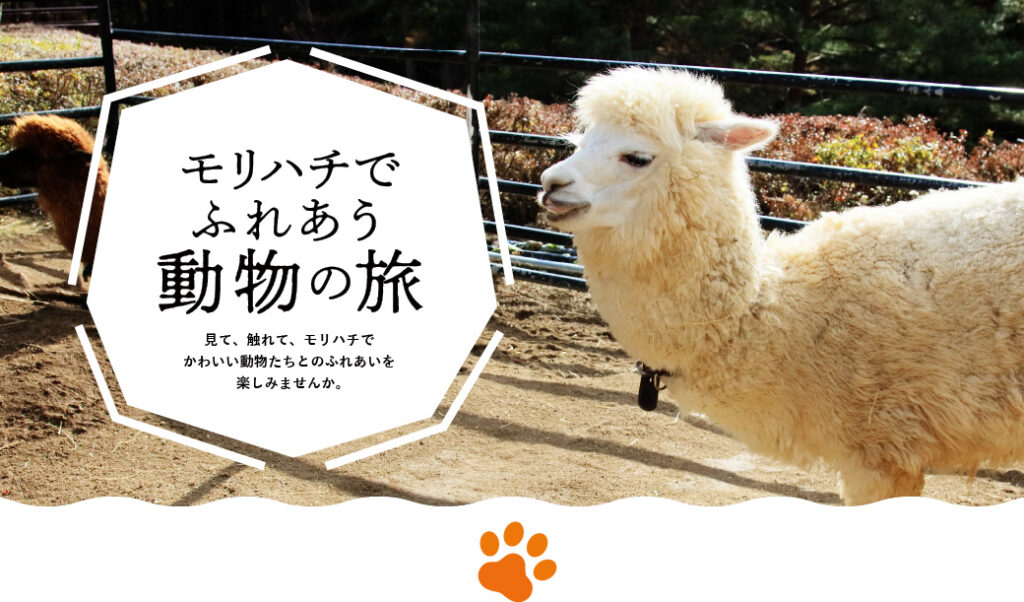 モリハチでふれあう動物の旅